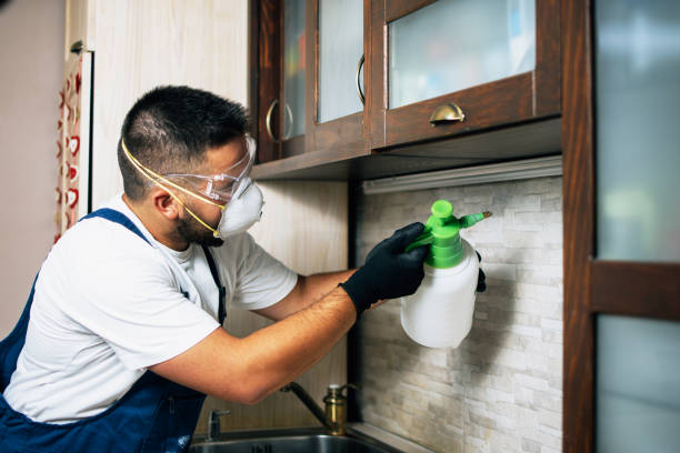 Best Rat Extermination Near Me  in Warrensburg, MO