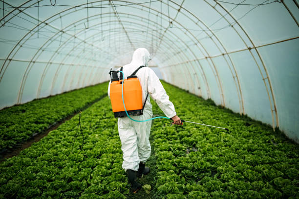 Best Pest Prevention Services  in Warrensburg, MO