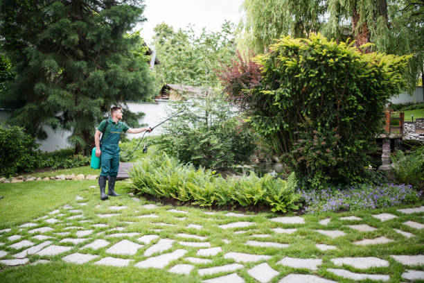 Reliable Warrensburg, MO Pest Control Solutions